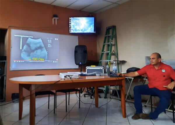 ultrasonografia-reproductiva-bovinos